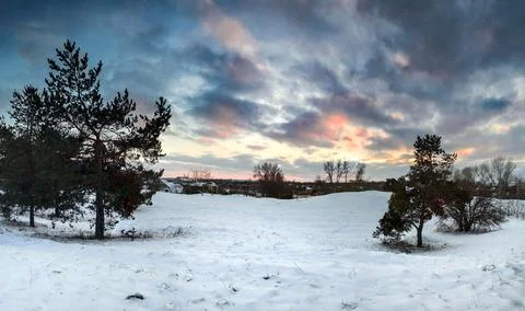 Forest landscape. winter forest. trees in the snow. pine forest in winter. a  Stock Photos