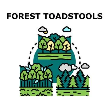 Forest landscapes presenting different types of woods Stock Illustration