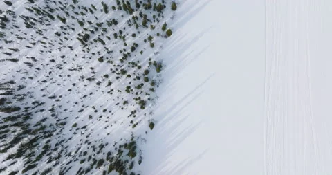 Forest in Lapland seen from above Stock Footage 220033853
