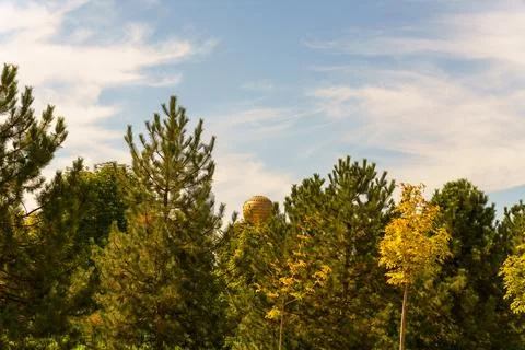 A forest with a large yellow object in the sky Stock Photos