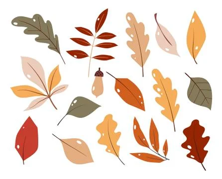 Forest leaf hand drawn vector. Set of colorful autumn leaves. Isolated on white Stock Illustration