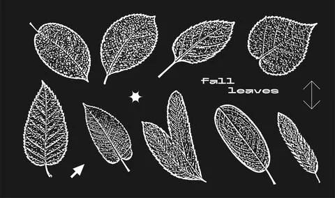 Forest leaf negative stamps set with retro photocopy stipple effect, for grunge Stock Illustration