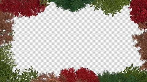 Forest Leaves Frame Stock Footage 248699286