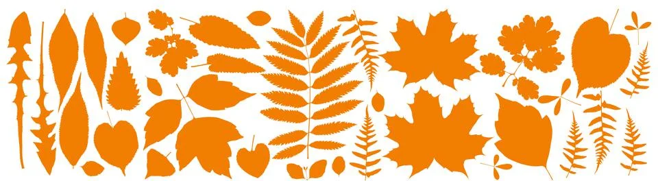 Forest leaves set.Vector illustration. 스톡 일러스트