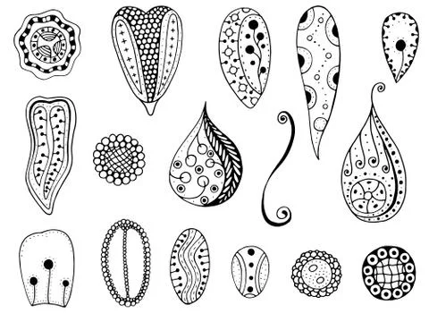 Forest leaves. Vector. Illustrazione stock