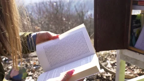 Forest library and view of the Kada-peak. Stock Footage 149976885