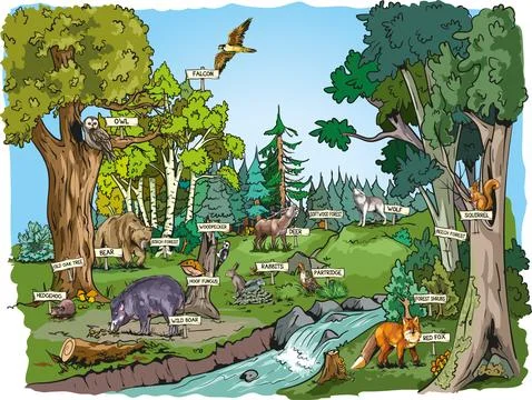 Forest life Stock Illustration