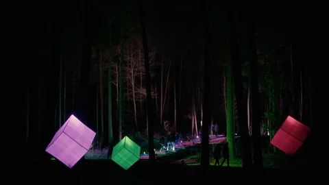 Forest lighting in the park. Night landscape in the park. Stock Footage 125702098