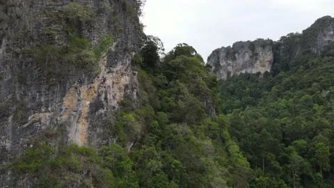 Forest on the limestone cliffs Vidéo 170284561
