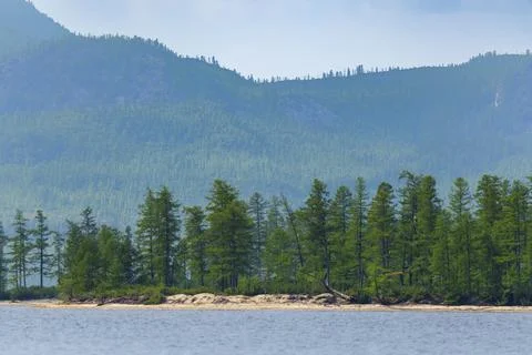Forest-lined lakeshore with distant mountains Stock Photos
