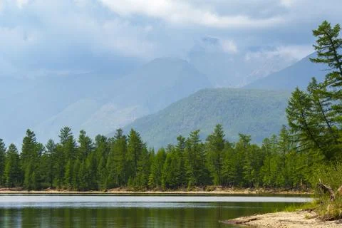 Forest-lined lakeshore with distant mountains Stock Photos