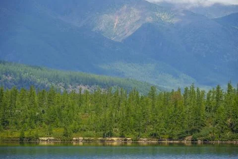 Forest-lined lakeshore with distant mountains Stock Photos