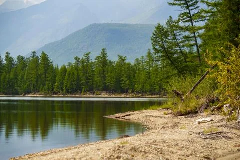 Forest-lined lakeshore with distant mountains Stock Photos