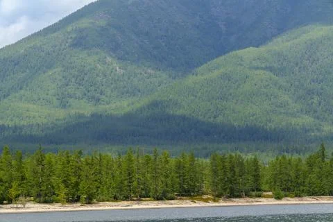 Forest-lined lakeshore with distant mountains Foto stock