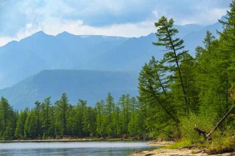 Forest-lined lakeshore with distant mountains Stock Photos