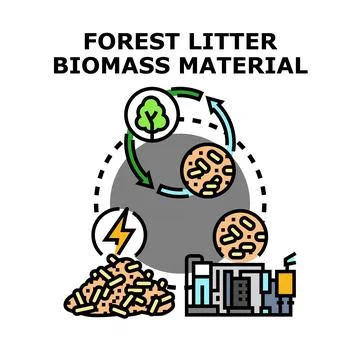 Forest litter biomass material cycle generating energy Stock-Illustration