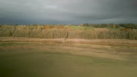 Forest located over a dried lake Video stock 254592700