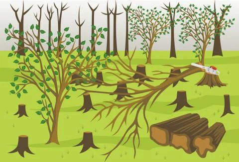 Forest Logging Illustration Stock Illustration