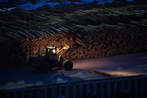 Forest logging site. Piles of log, forest clean up works after a storm, logging. Stock Photos