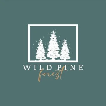 Forest Logo, Vector Forest Wood With Pine Trees, Design Inspirational Badge.. Stock Illustration