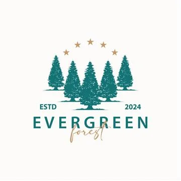 Forest Logo, Vector Forest Wood With Pine Trees, Design Inspirational Badge.. Stock Illustration