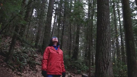 In the forest look up Stock Footage 82150146