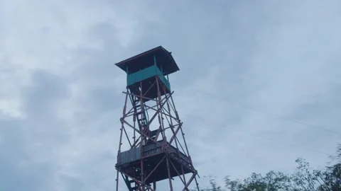 Forest lookout tower Stock Footage 213528799