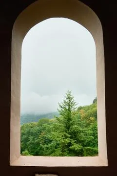 Forest with low clouds seen through a window Stock Photos