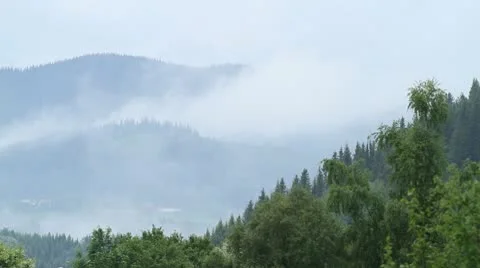 Forest with low rainclouds in the background Vídeo Stock 10795694