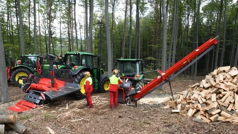 Forest machine cutting wood Stock Footage 127018435