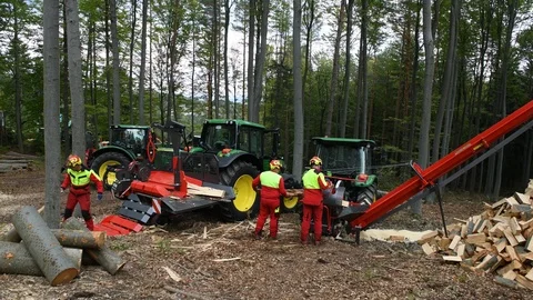 Forest machine cutting wood Vídeo Stock 127018467