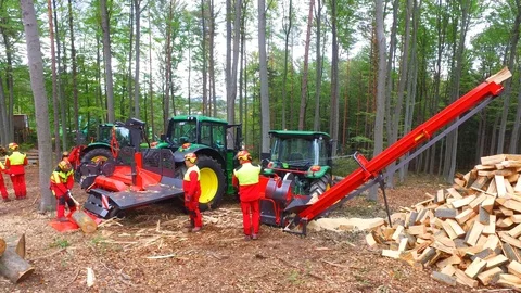Forest machine cutting wood Stock Footage 127018532