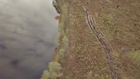 Forest machine trails at clearcutting area at lake shore after logging Stock Footage 122424099