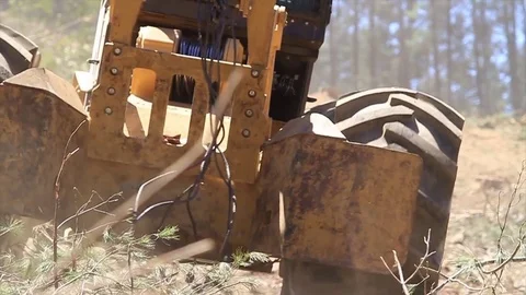 Forest machines Video stock 77049590