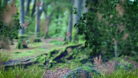 Forest Magic Background Stock Footage