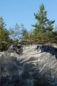 Forest on a marble cliff Stock Photos