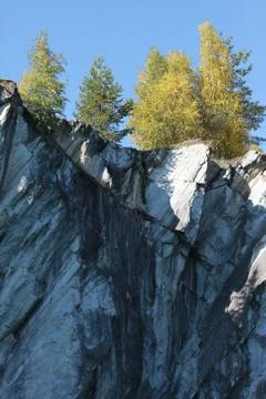 Forest on a marble cliff Stock Photos