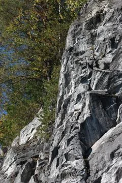 Forest on a marble cliff Stock Photos