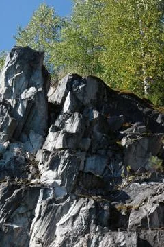 Forest on a marble cliff Stock Photos