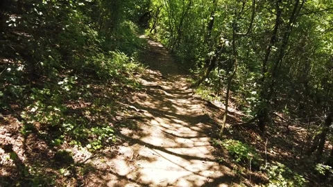 Forest meadow point of view walking on Sunnyside Trail in Aspen, Colorado in Stock Footage 150579804