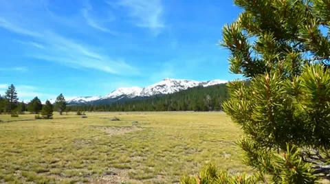 Forest Meadow Snow Capped Mountain Видео 38841845