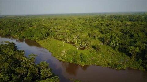 Forest meets river Stock Photos