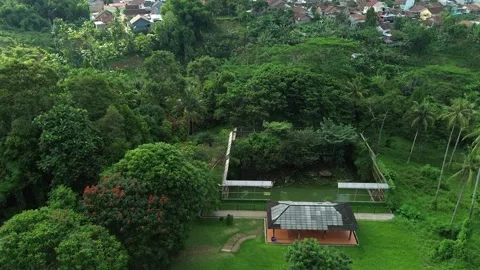 Forest in the middle of the city Stock Footage 314083223