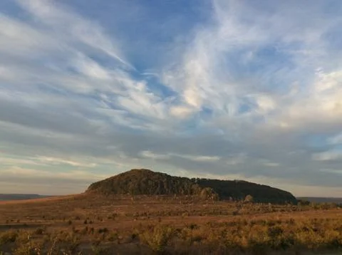 Forest in the middle of the steppe. Stock Photos