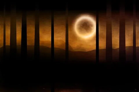 Forest in mist Stock Illustration