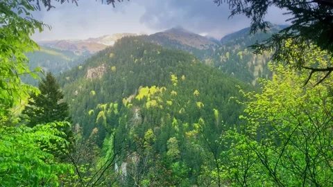Forest mist, over the river and scenic road through the forest. Rize, Black Sea Stock Footage 196108889