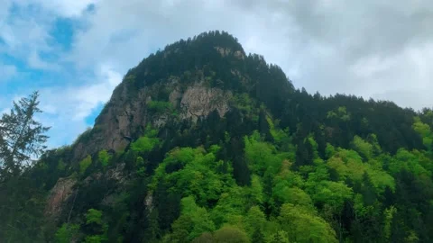 Forest mist, over the river and scenic road through the forest. Rize, Black Sea Stock Footage 196109607