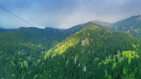 Forest mist, over the river and scenic road through the forest. Rize, Black Sea Stock Footage 196109621