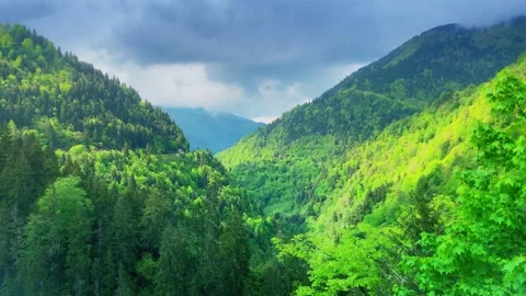 Forest mist, over the river and scenic road through the forest. Rize, Black Sea 스톡 동영상 196119690