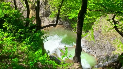 Forest mist, over the river and scenic road through the forest.Black Sea Stock Footage 196121869